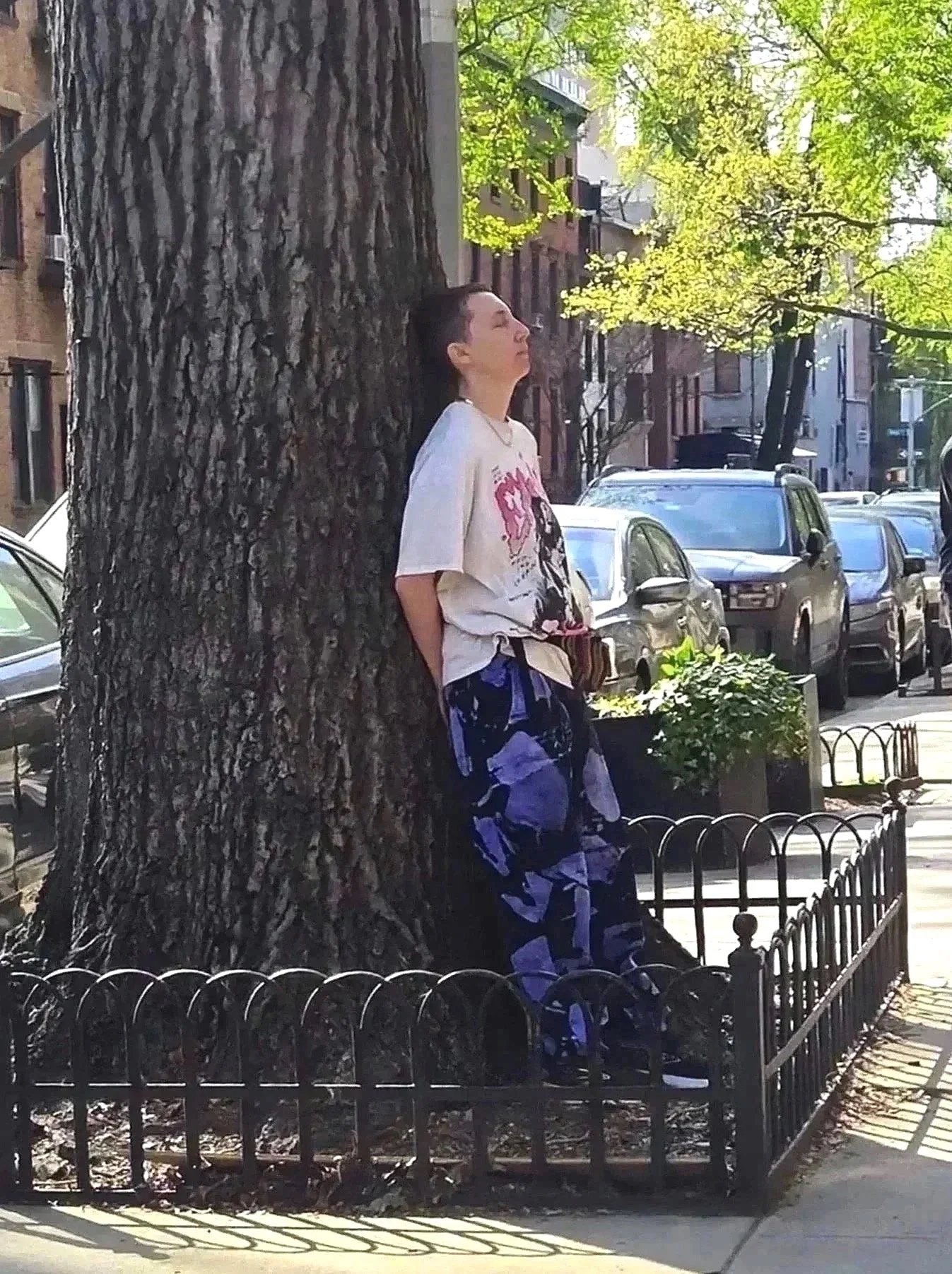 Tree Therapy