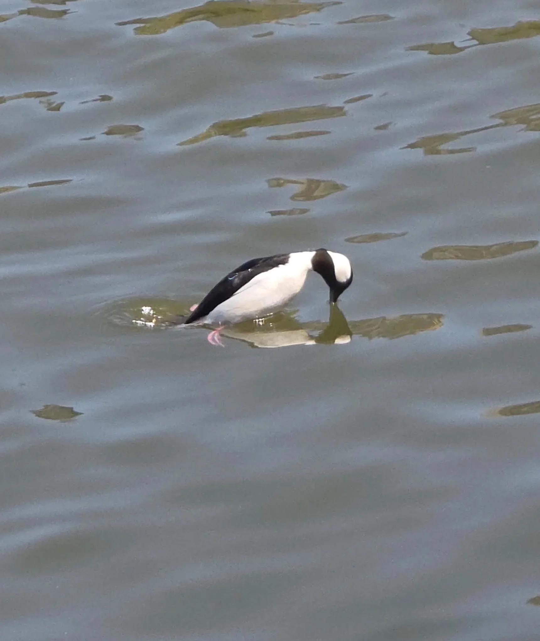 Fishing