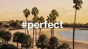 Chevy Malibu Launch "#Perfect"