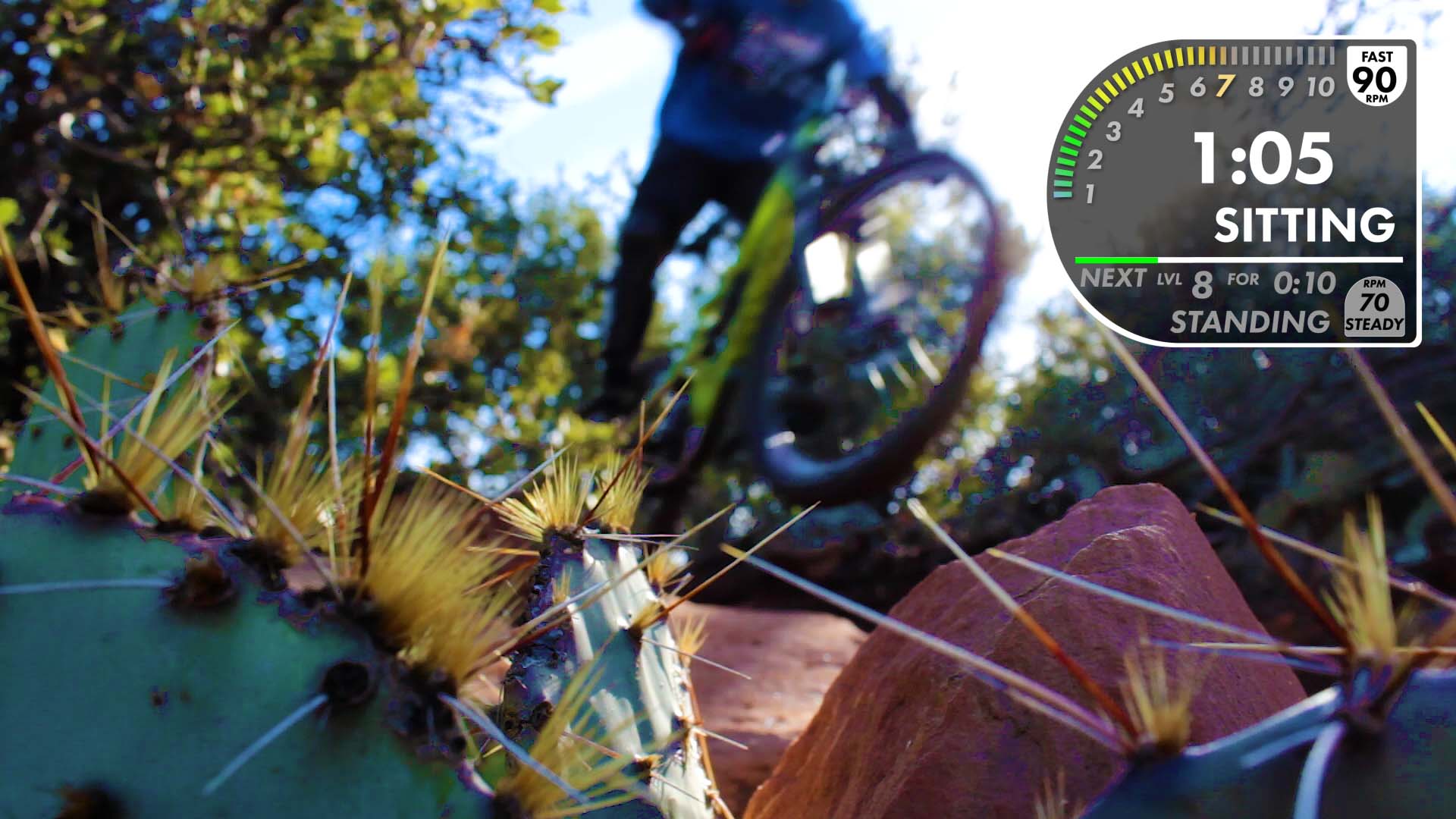 Sedona Thumbnail Authentic Image ScreenShot.jpg
