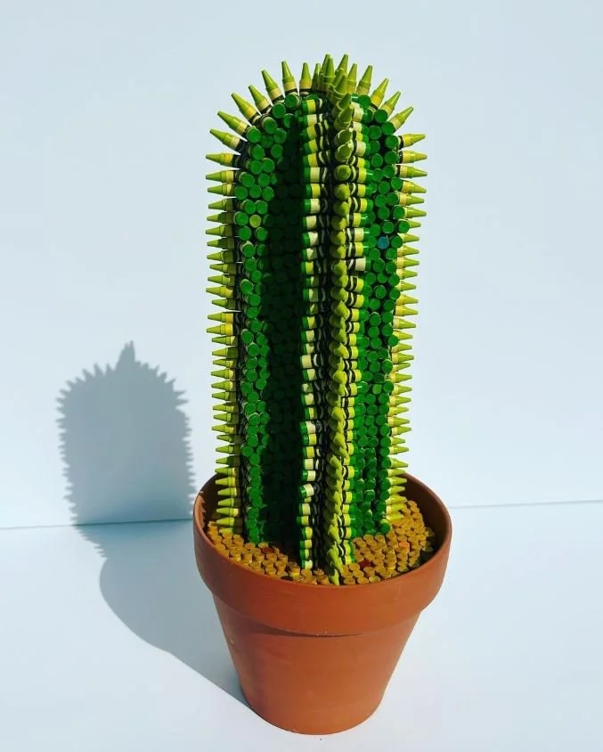 Cactus.JPG