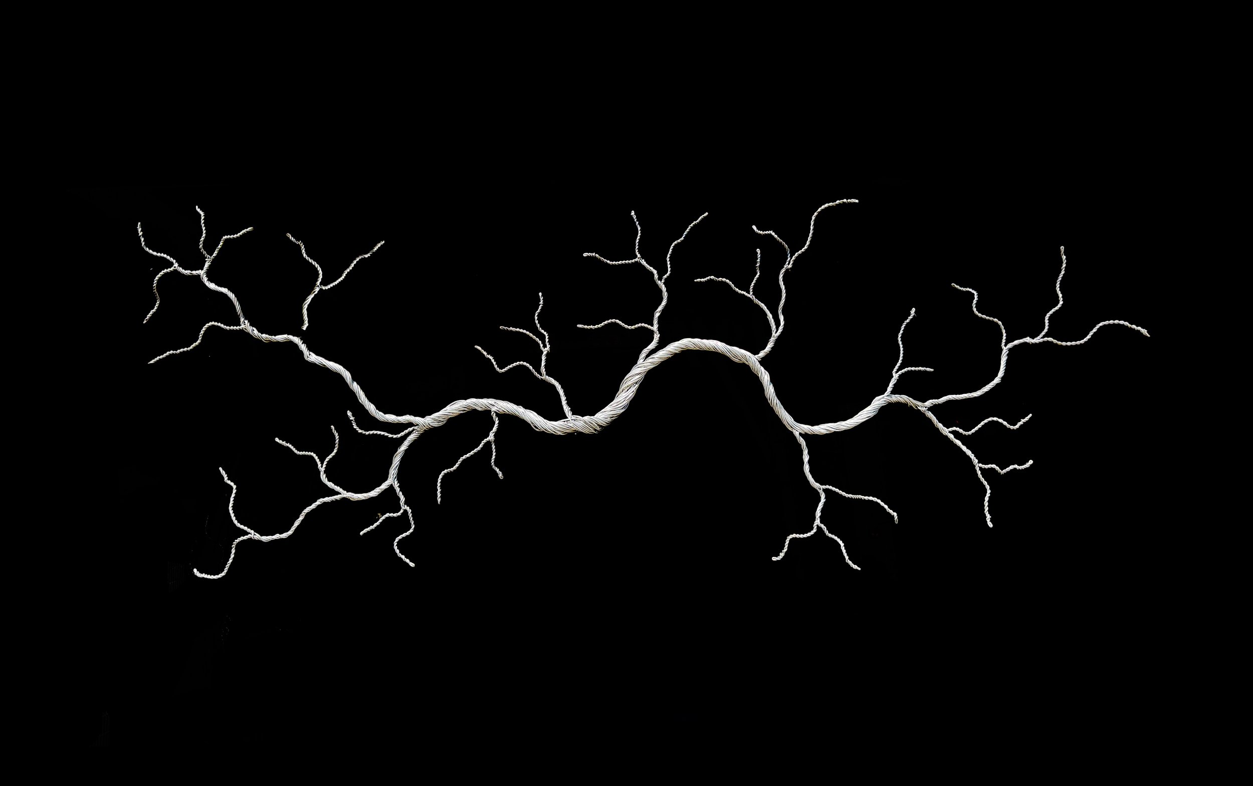 A.Guthrie A Fractal Flowing.jpg