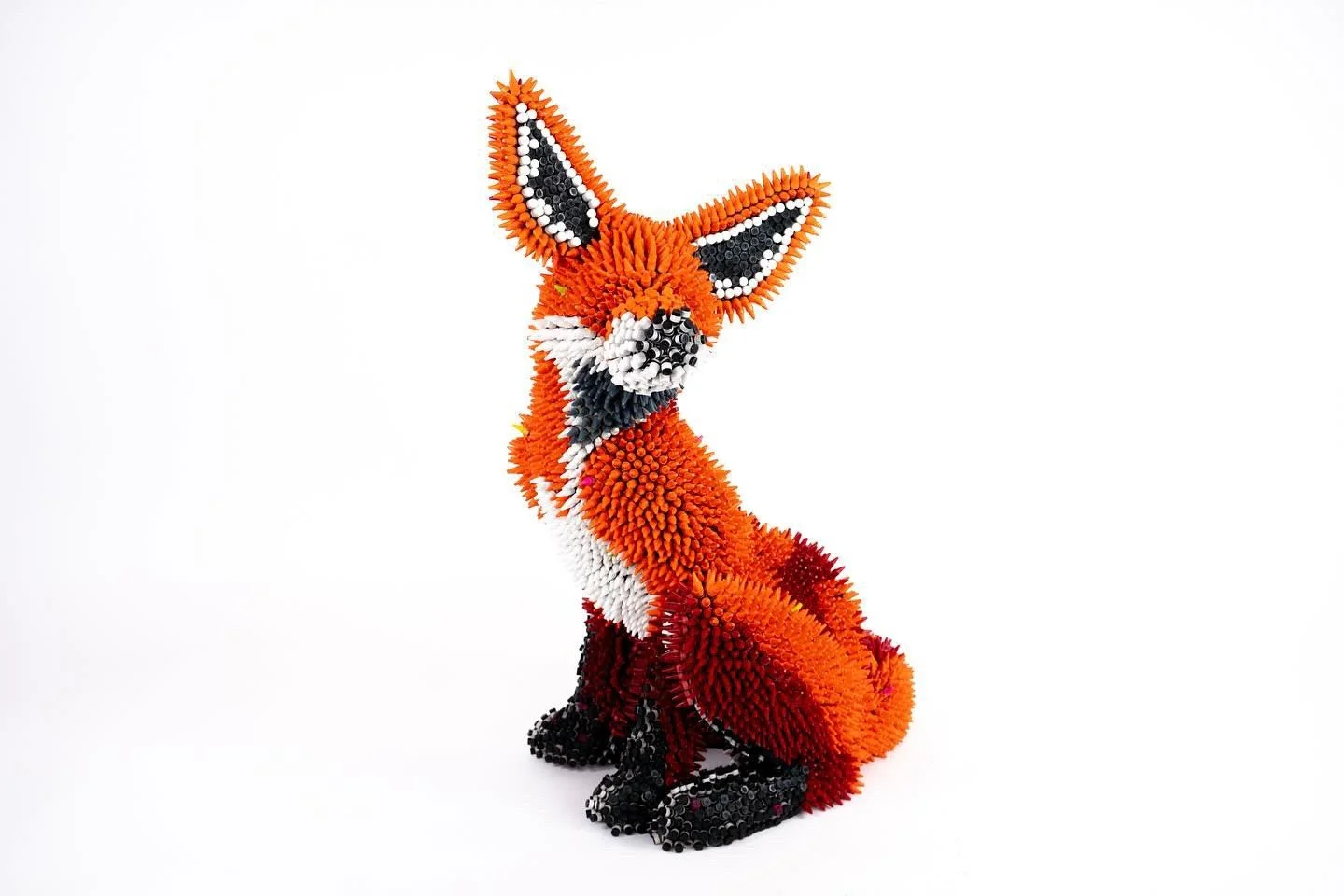 Fox.jpg