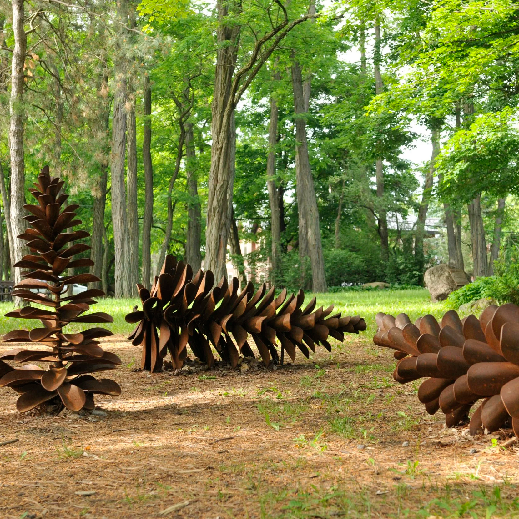 Elzinga Rockcliffe Cones D1600713.png
