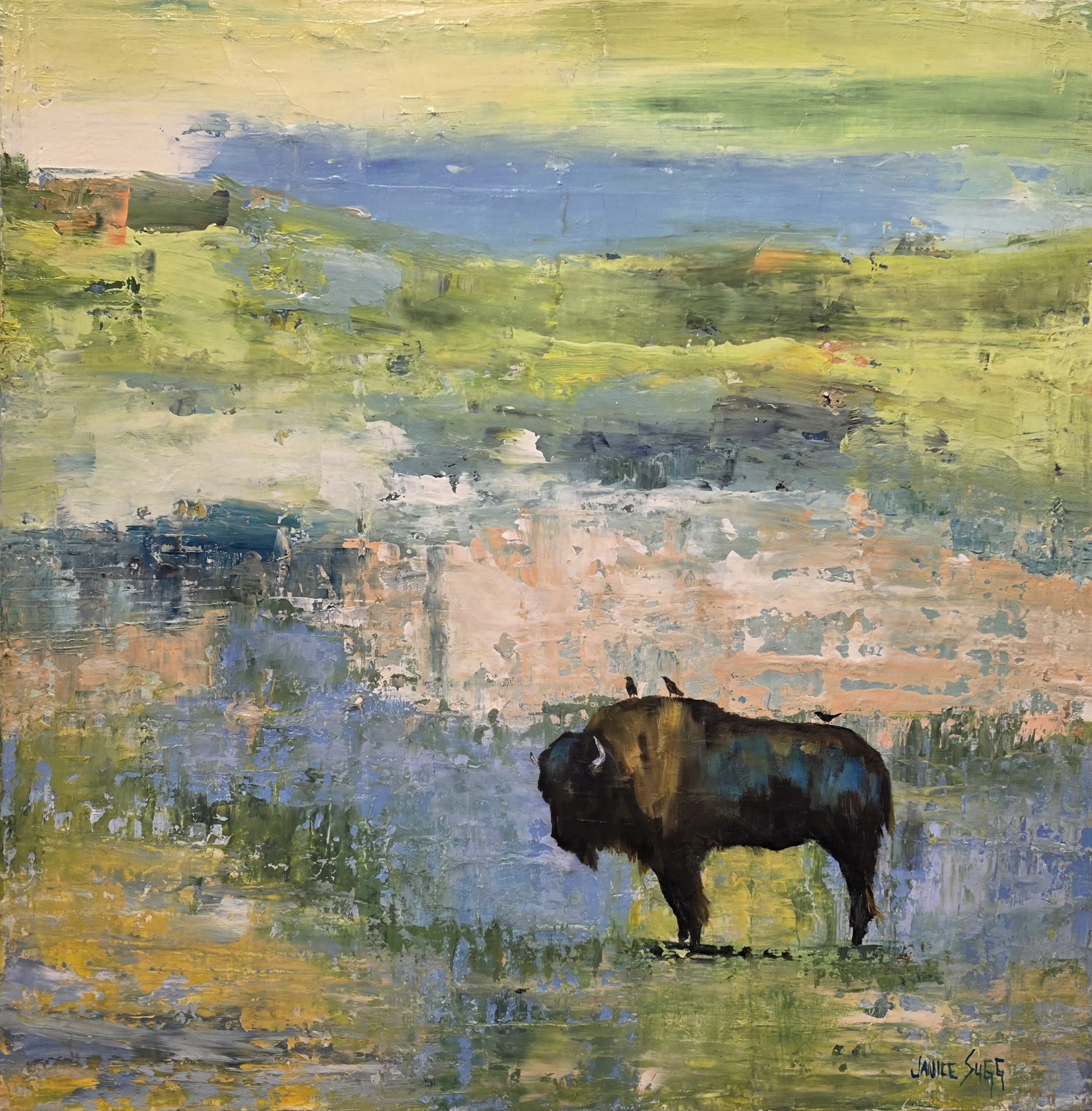 Bison with Birds 24x24 Cropped.jpg