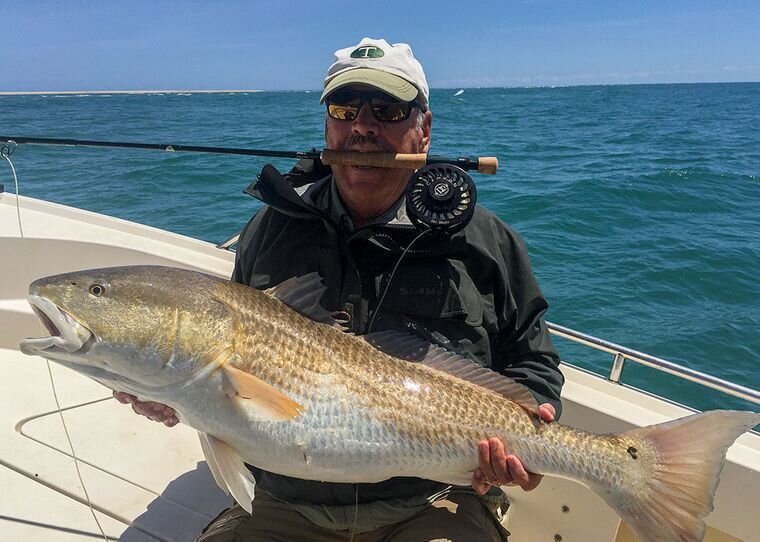 Top 5 Inshore Saltwater Live Bait for Florida - Fishing Florida