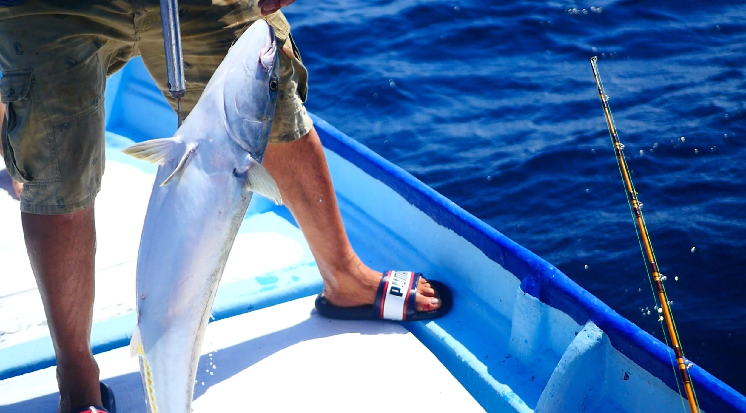 5 Tips for a Successful Deep Sea Fishing Trip