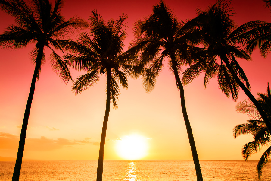 How To Enjoy Florida's Coast Like A Local