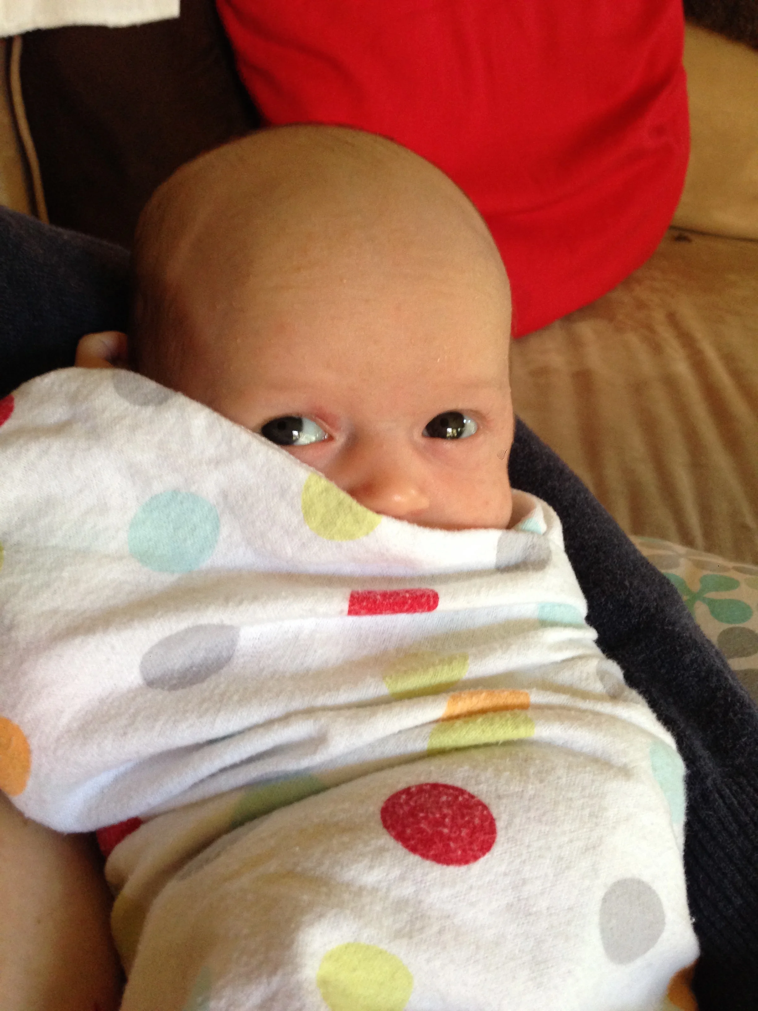 IMG_2797.jpg