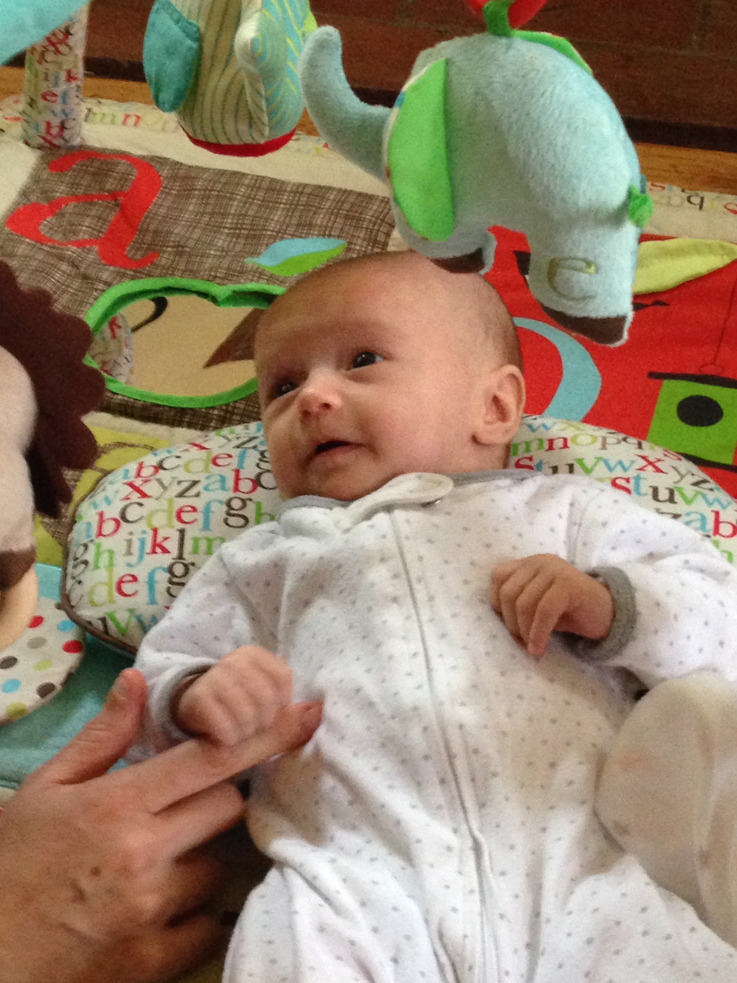 IMG_1081.jpg