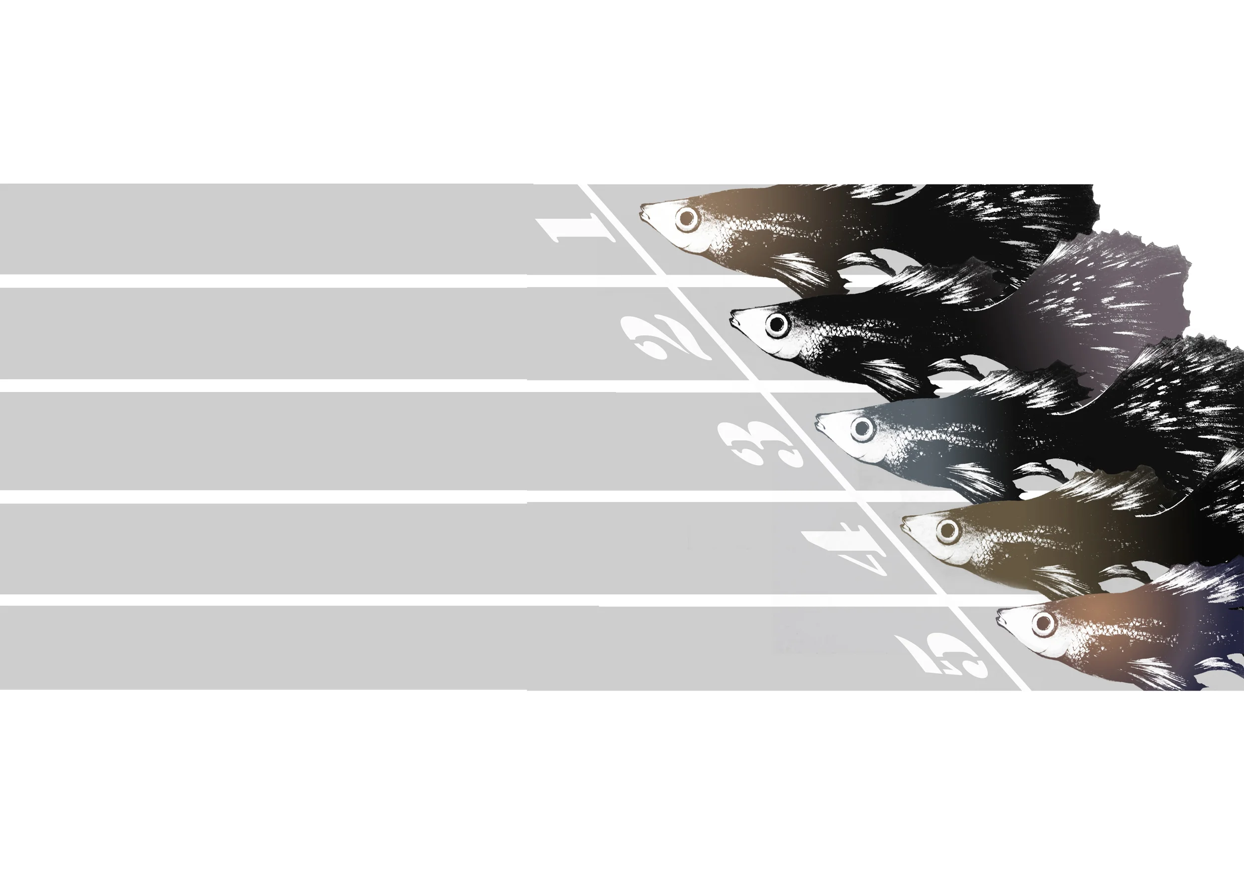 track02.jpg