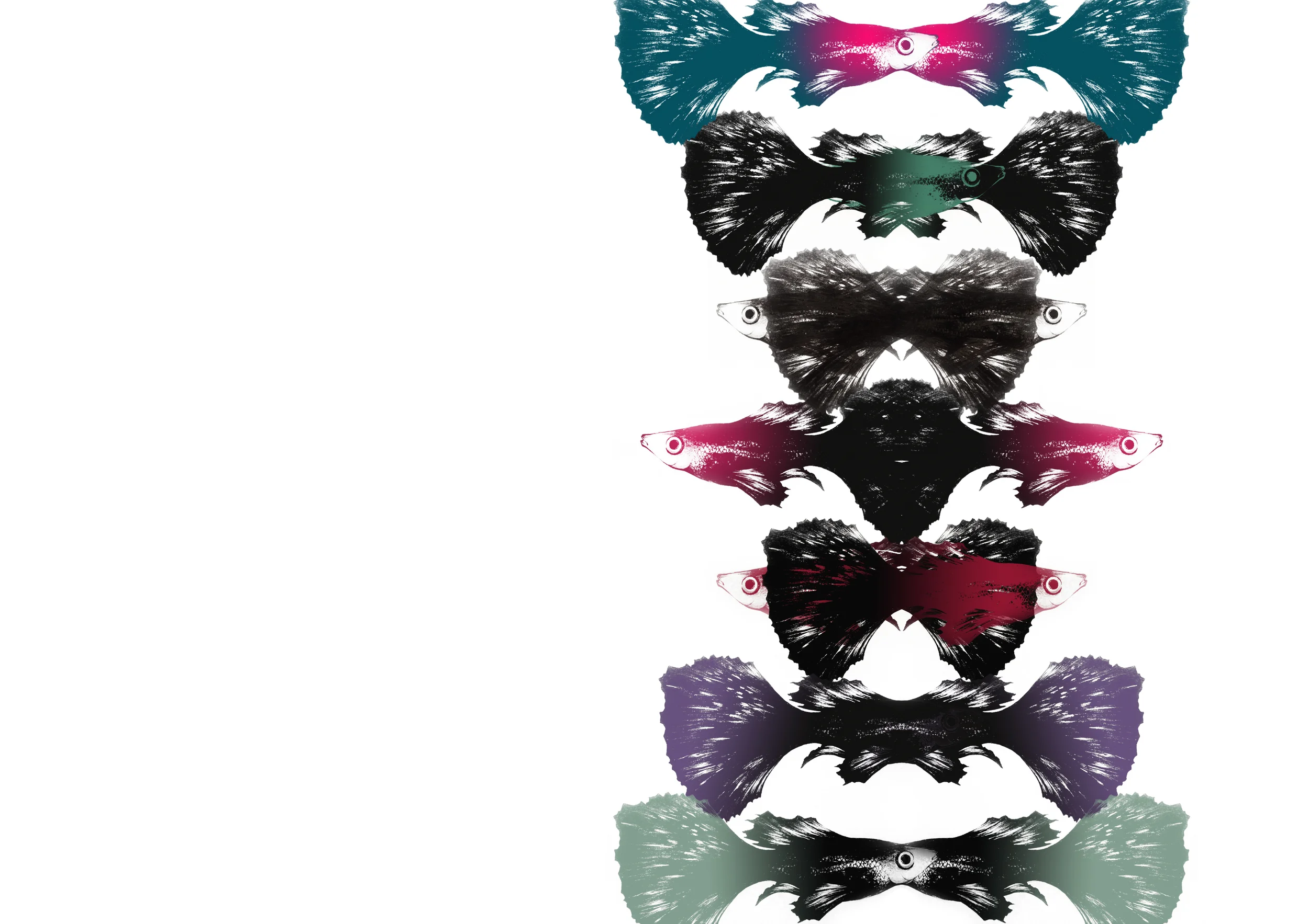guppy_edit000115_02.jpg