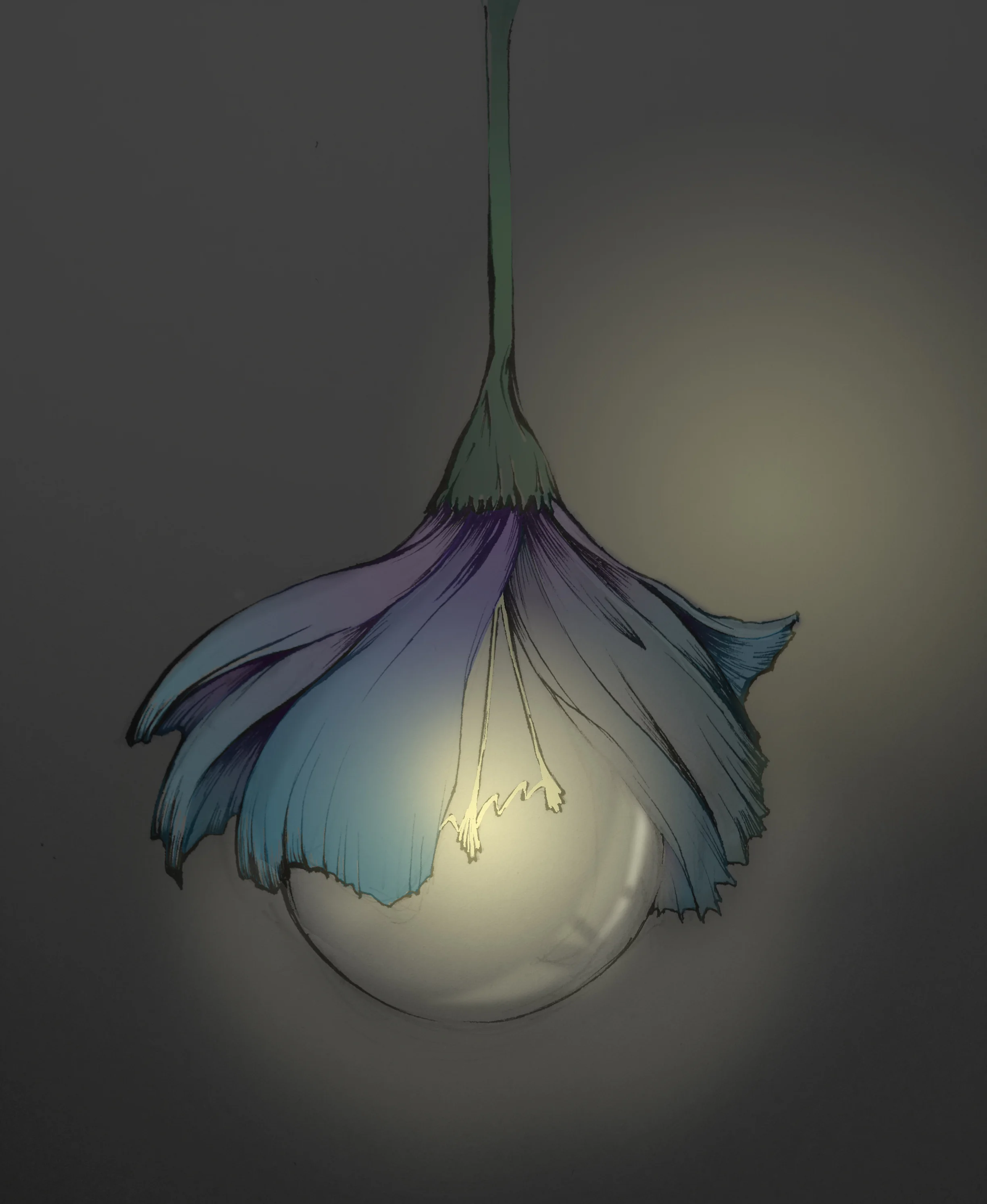 blub.jpg