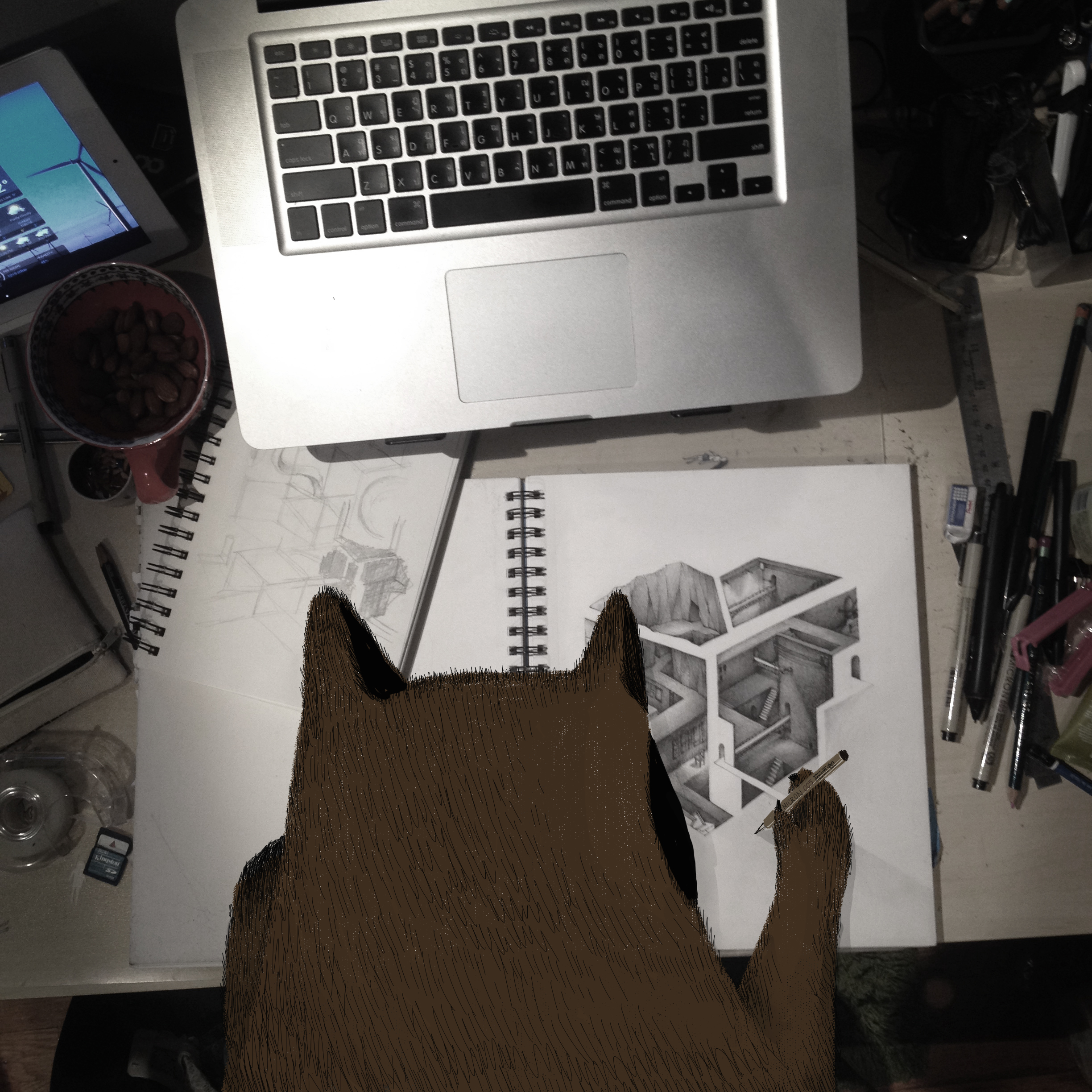 day 13 draw