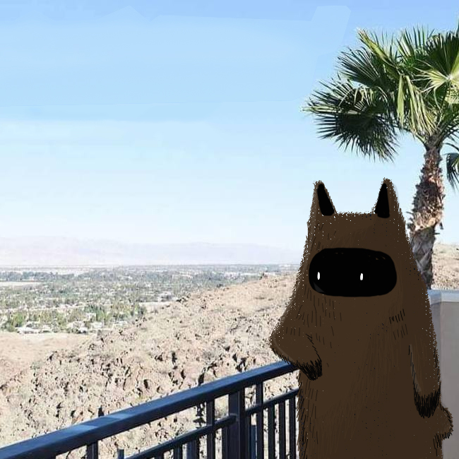 day 29