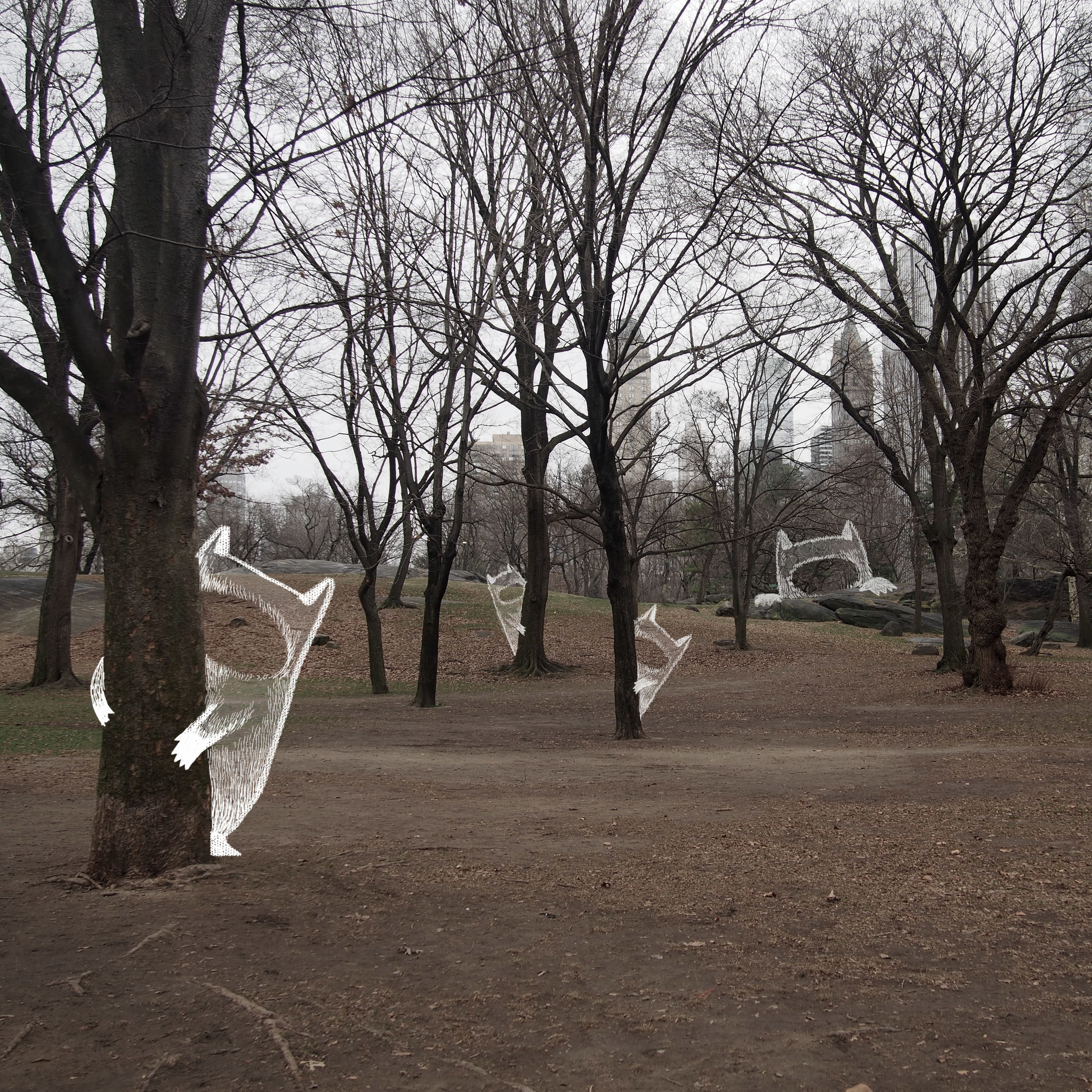 day 3 park