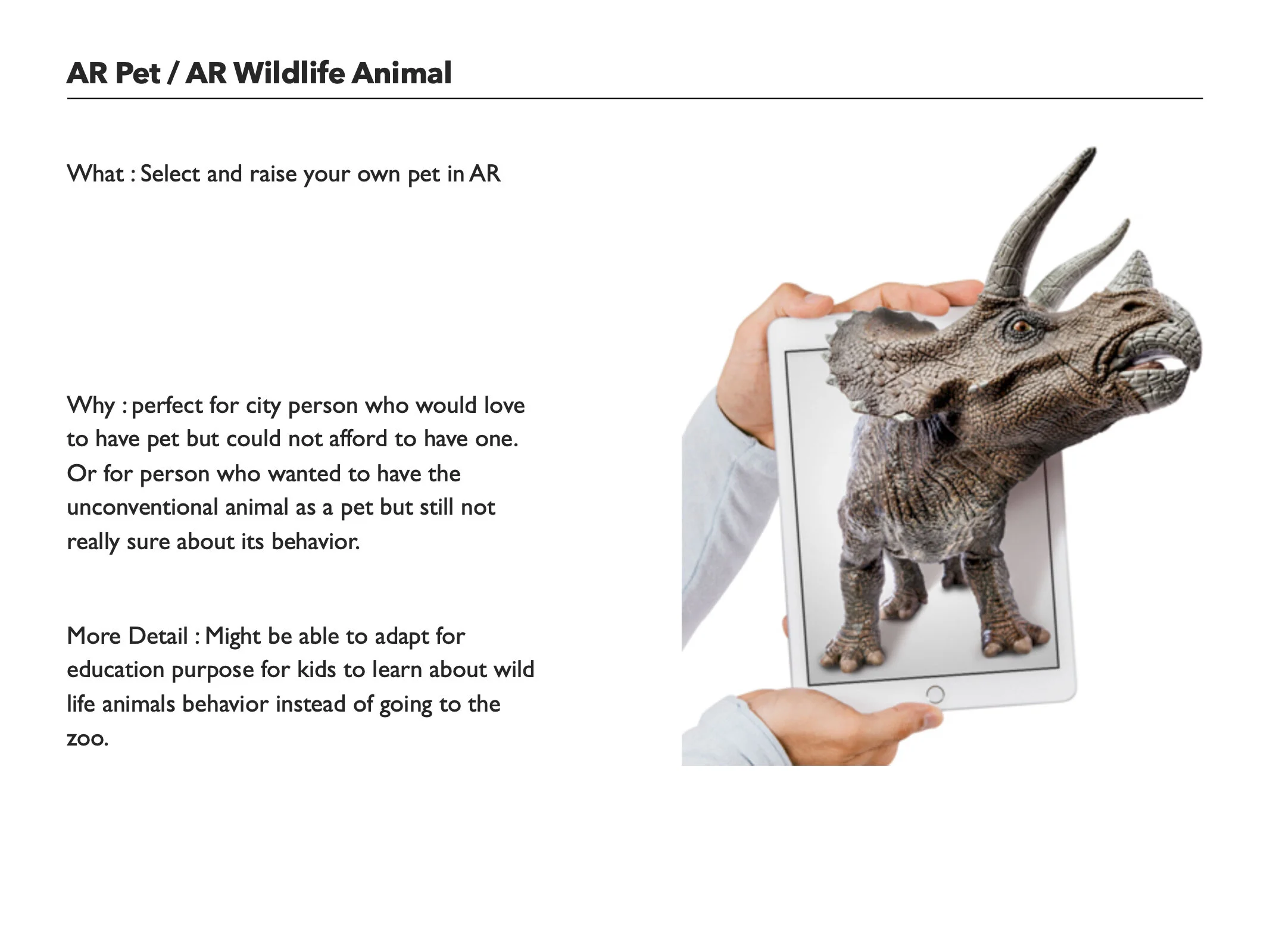 ar_spark_card03.jpg