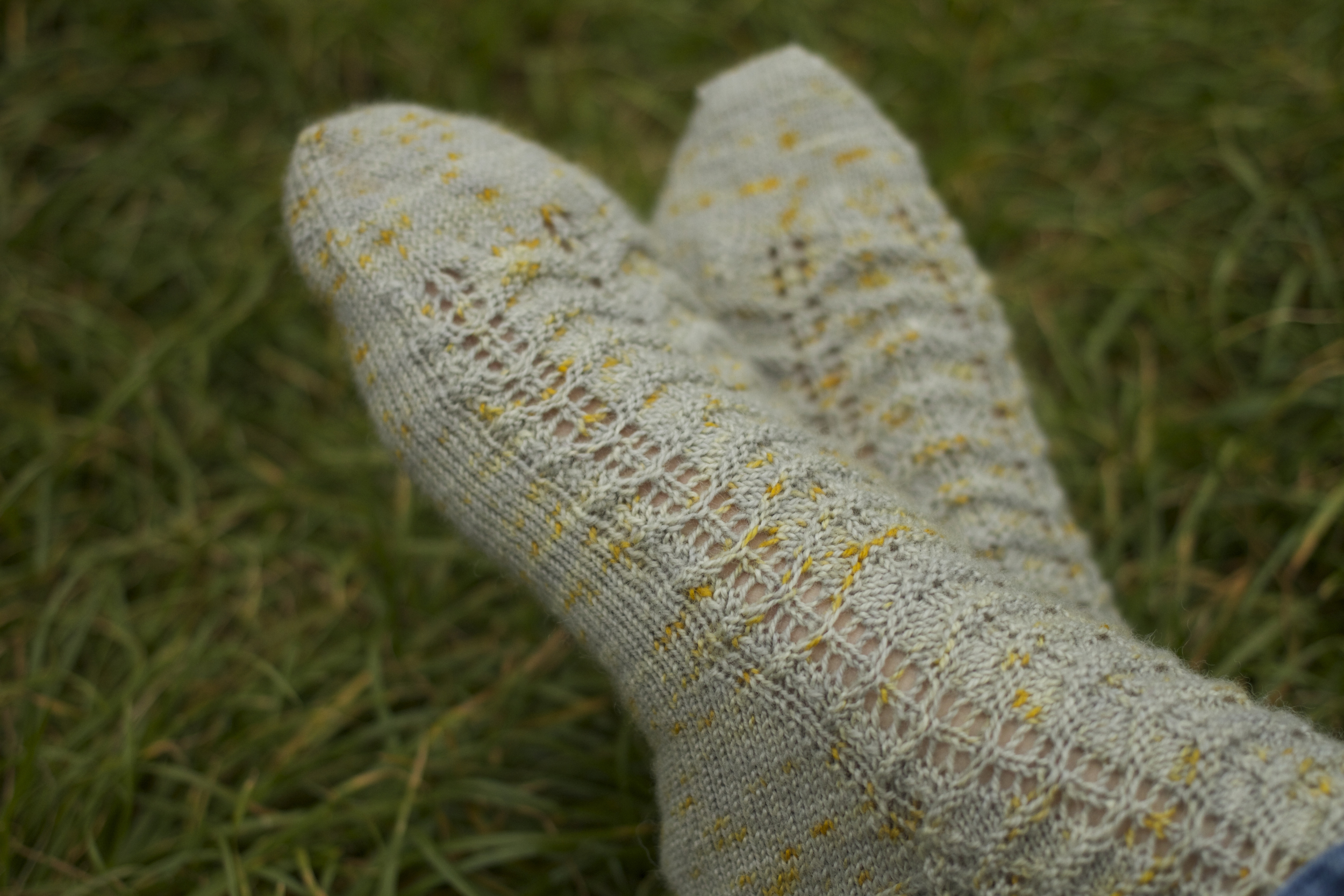 Brighton Dome socks