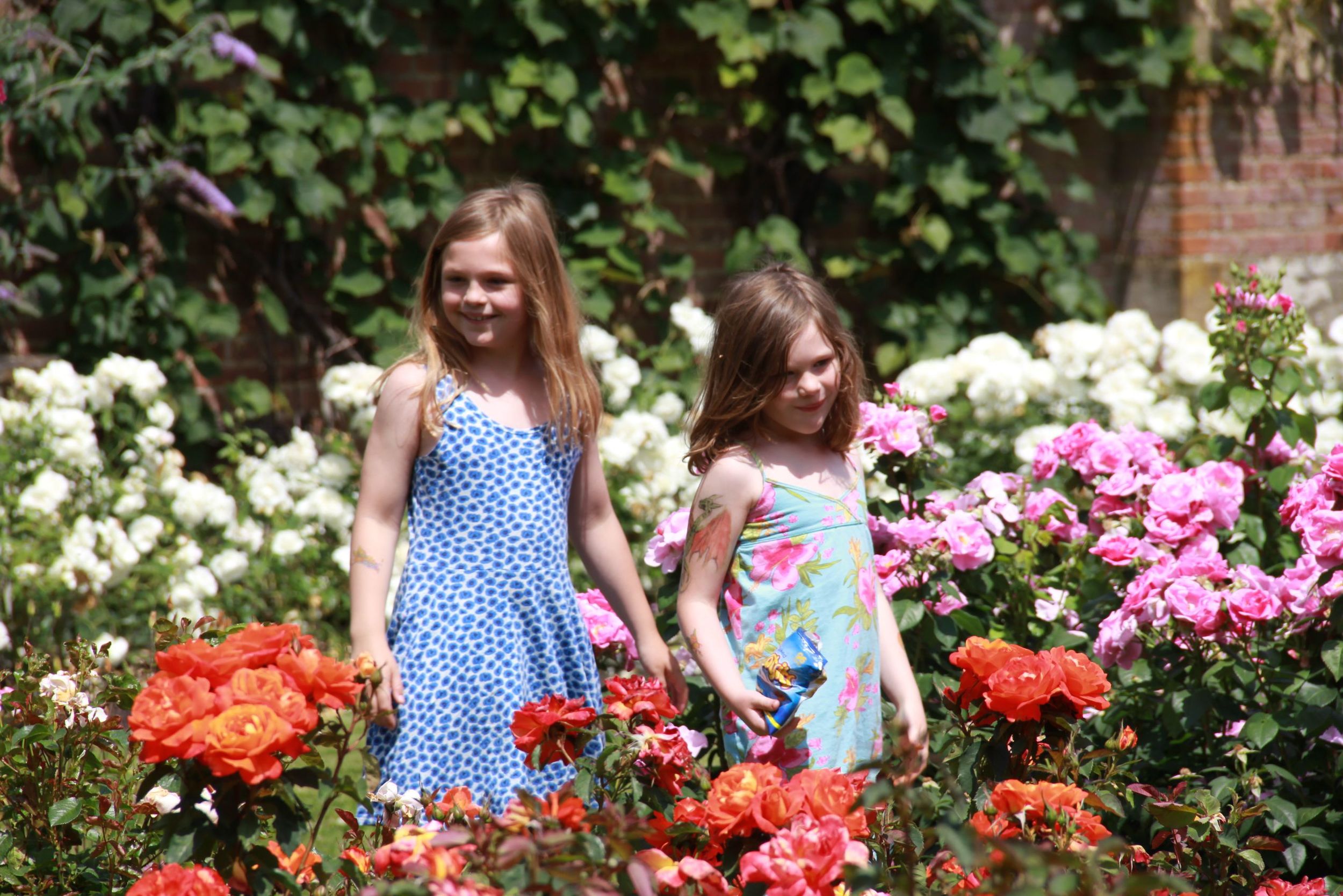 Home cloning experiment