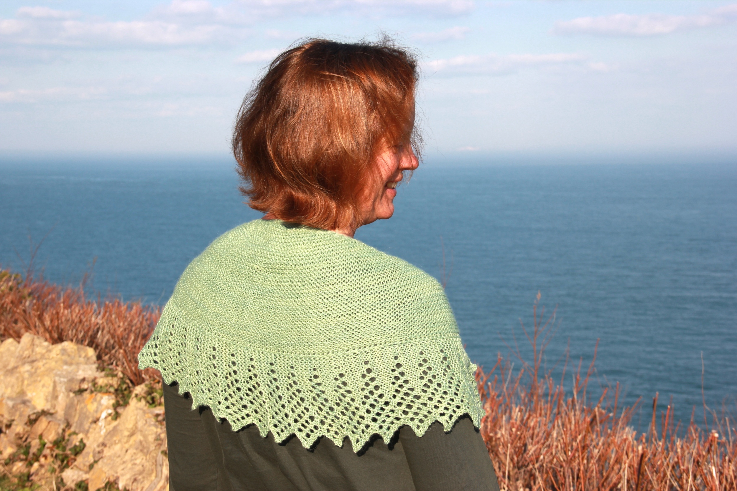 Latticewing in The Fibre Company Canopy Fingering