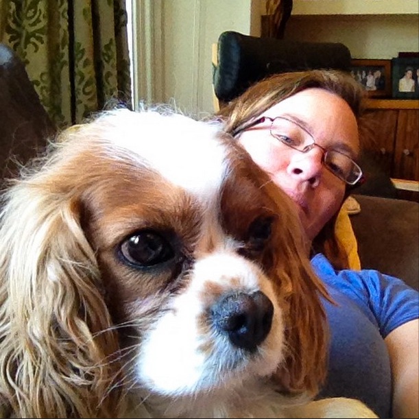 Couch selfie with grumpy Cavalier