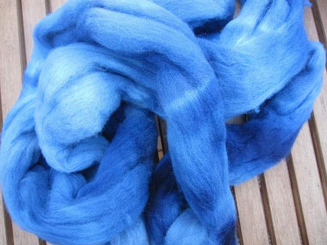 Coomassie Blue on Targhee