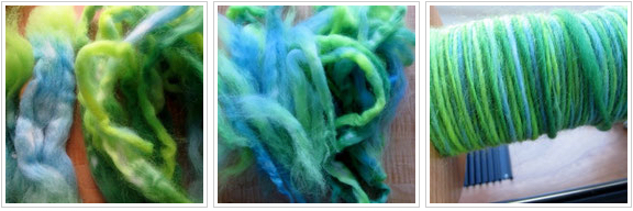 Parakeet Corriedale prepped and spun up