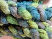 Euglena on Brown Suffolk