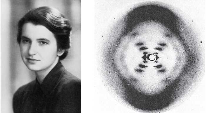 Rosalind Franklin and Photograph 51