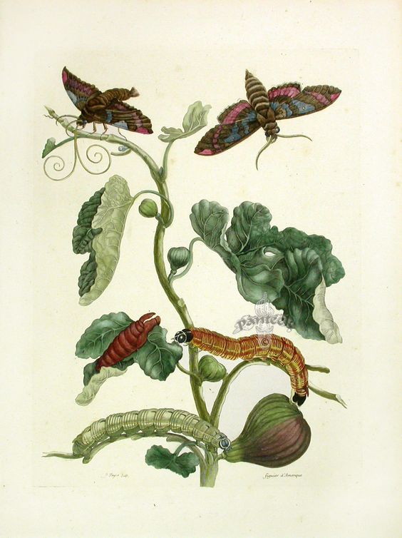The image that inspired the colours used in the March Fibre Club.