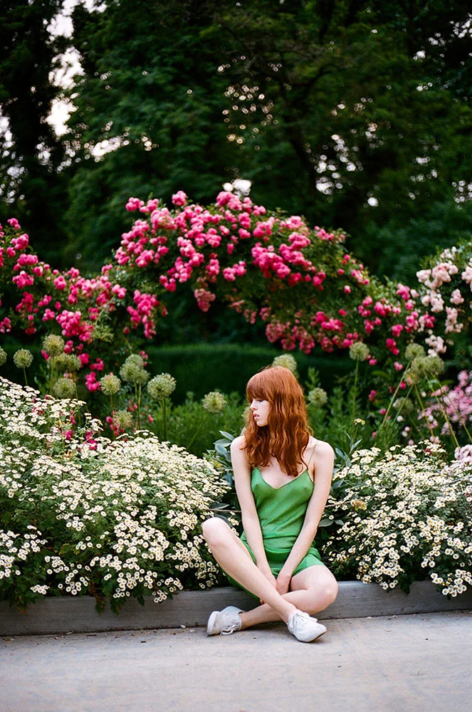 green_rose.jpg