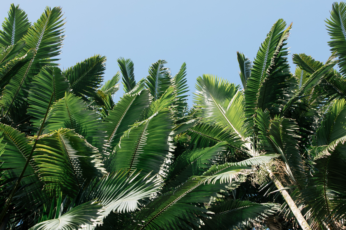 SHOT01_ONOMEA_BAY_SCENIC_029.jpg