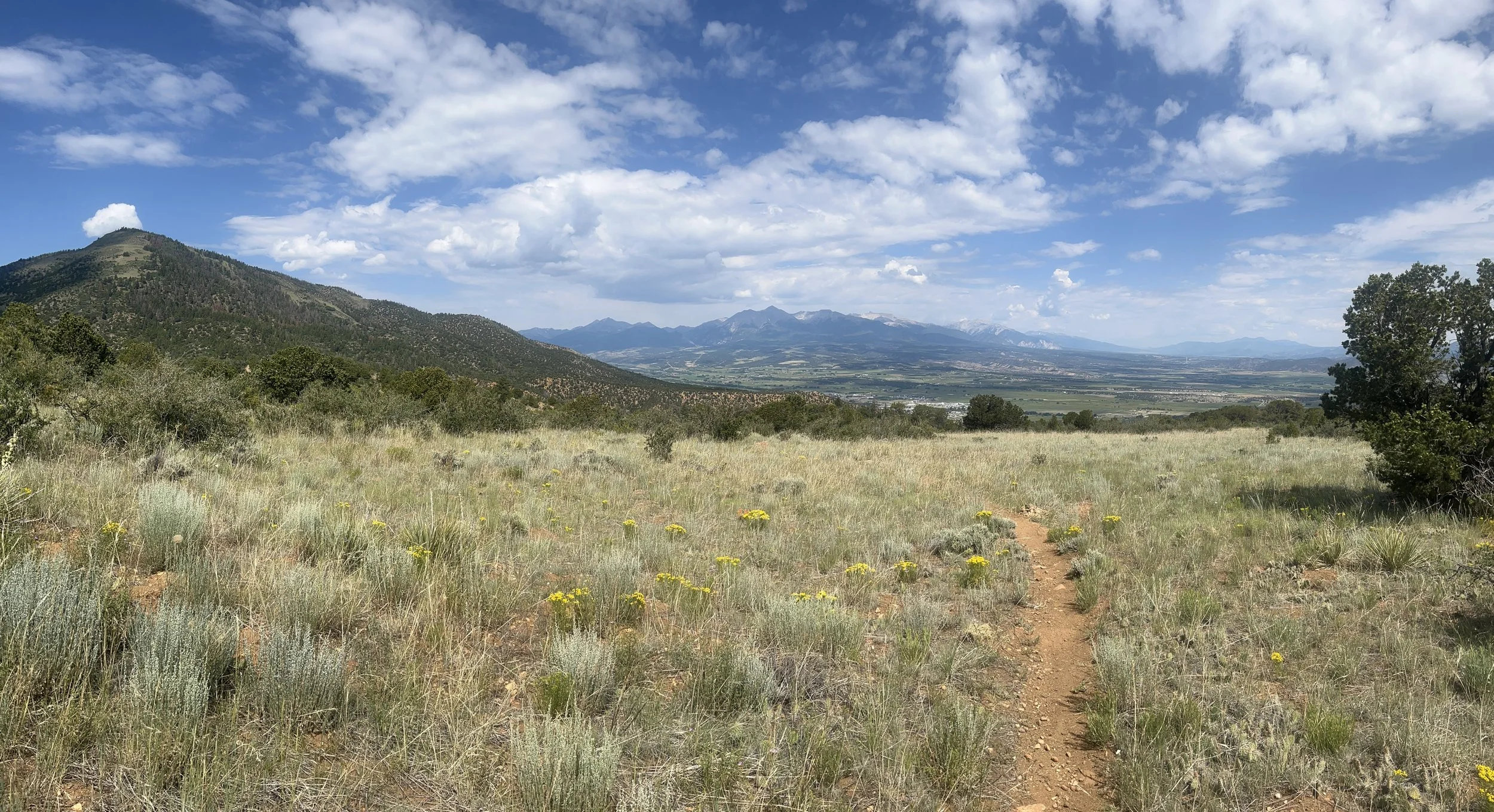 July Community Yoga