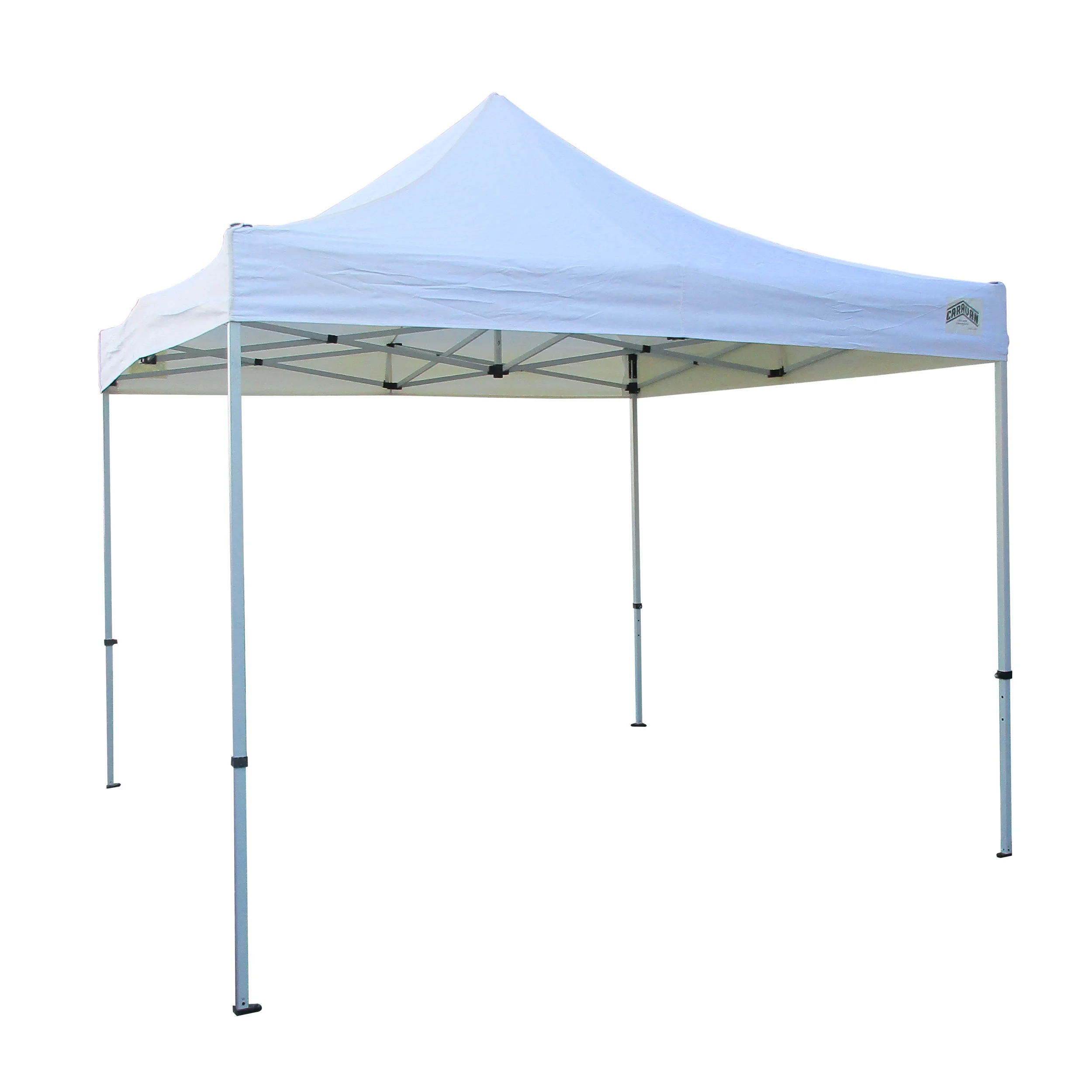 canopy.jpg