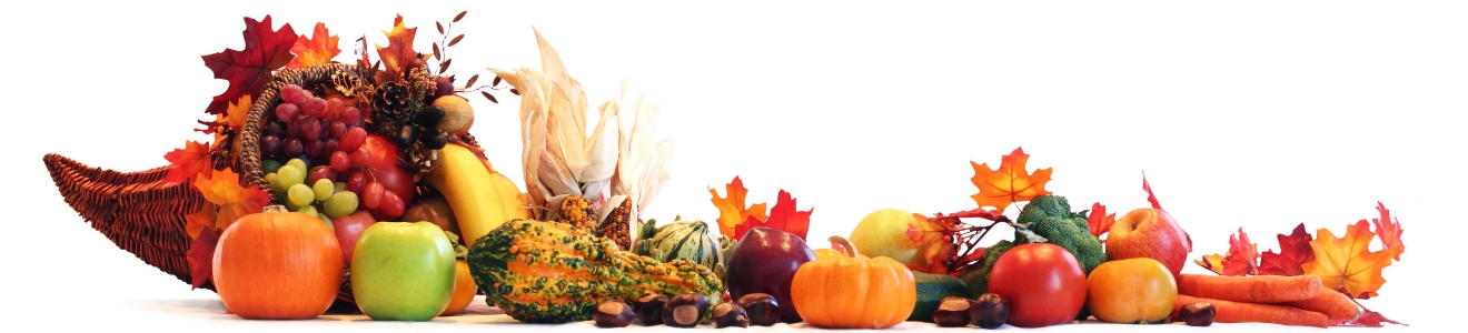 Fall Vegetables - A Delicious Bounty2.jpeg