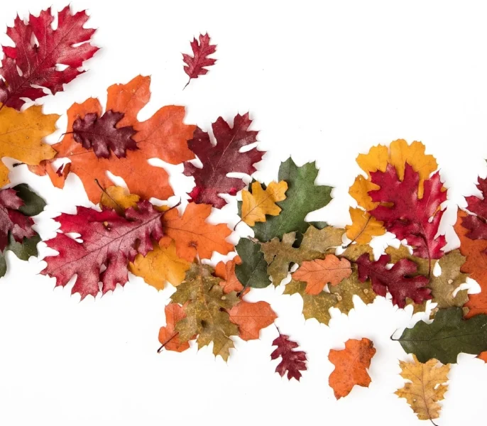 A Note on Holiday Indulgences