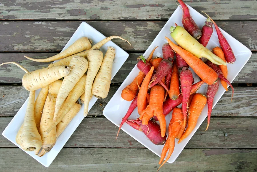 Fall Vegetables - A Delicious Bounty!