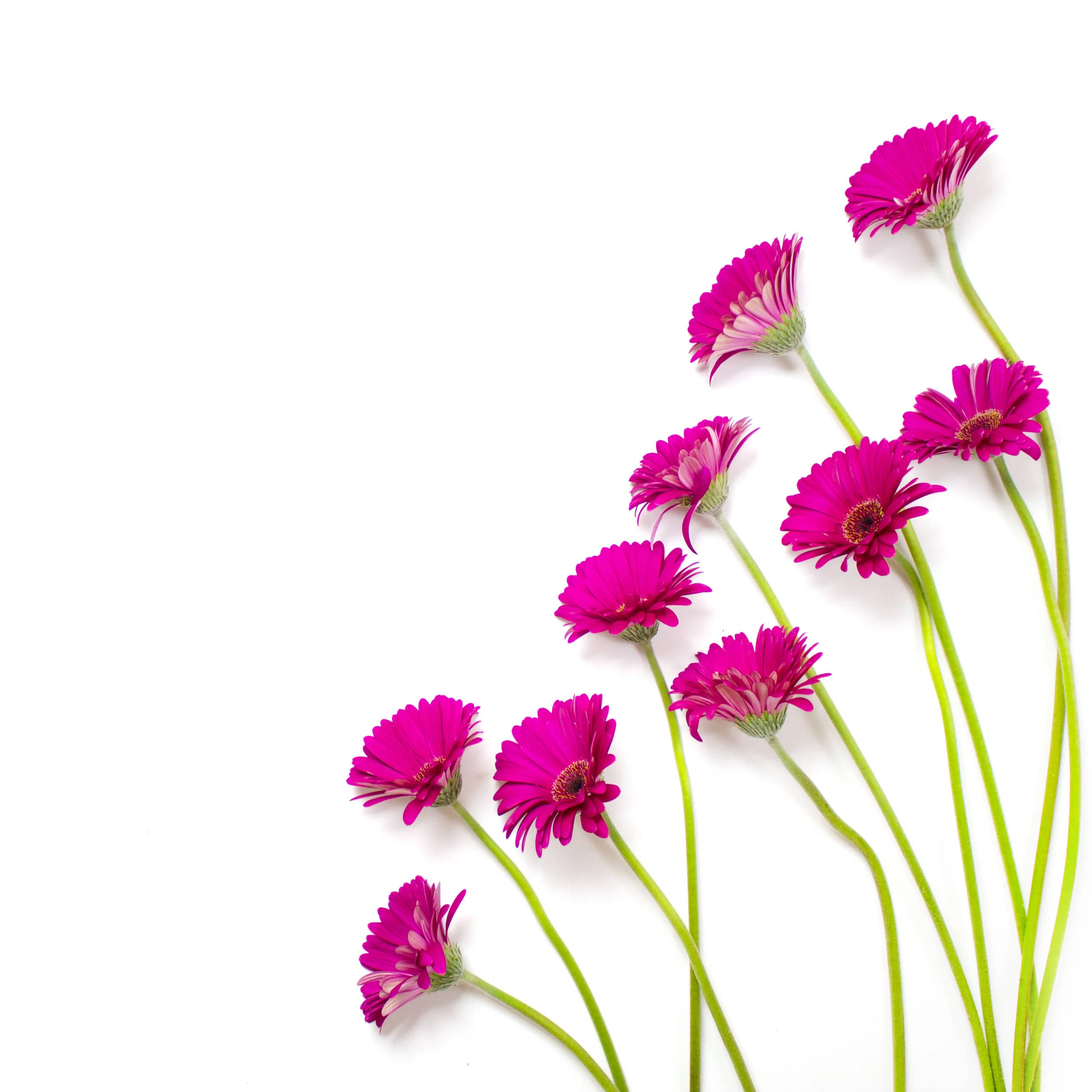 4 Summer Tips for Feeling Your Best
