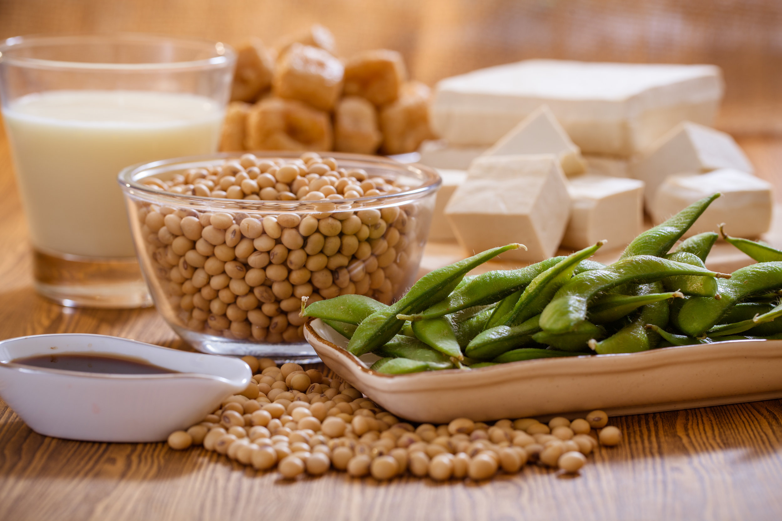 The Lowdown on Soy