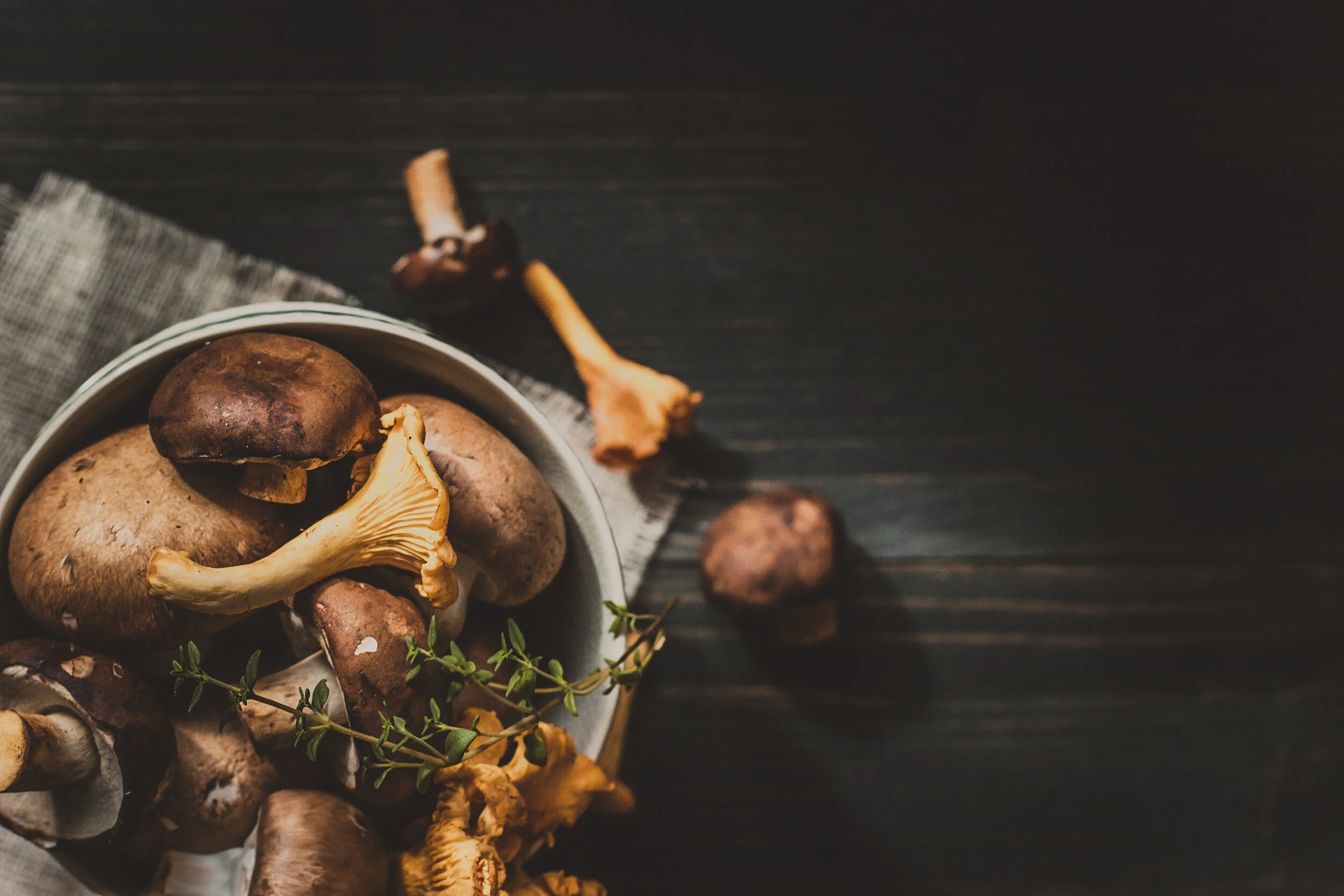 The Best Mushrooms to Eat for Your Health