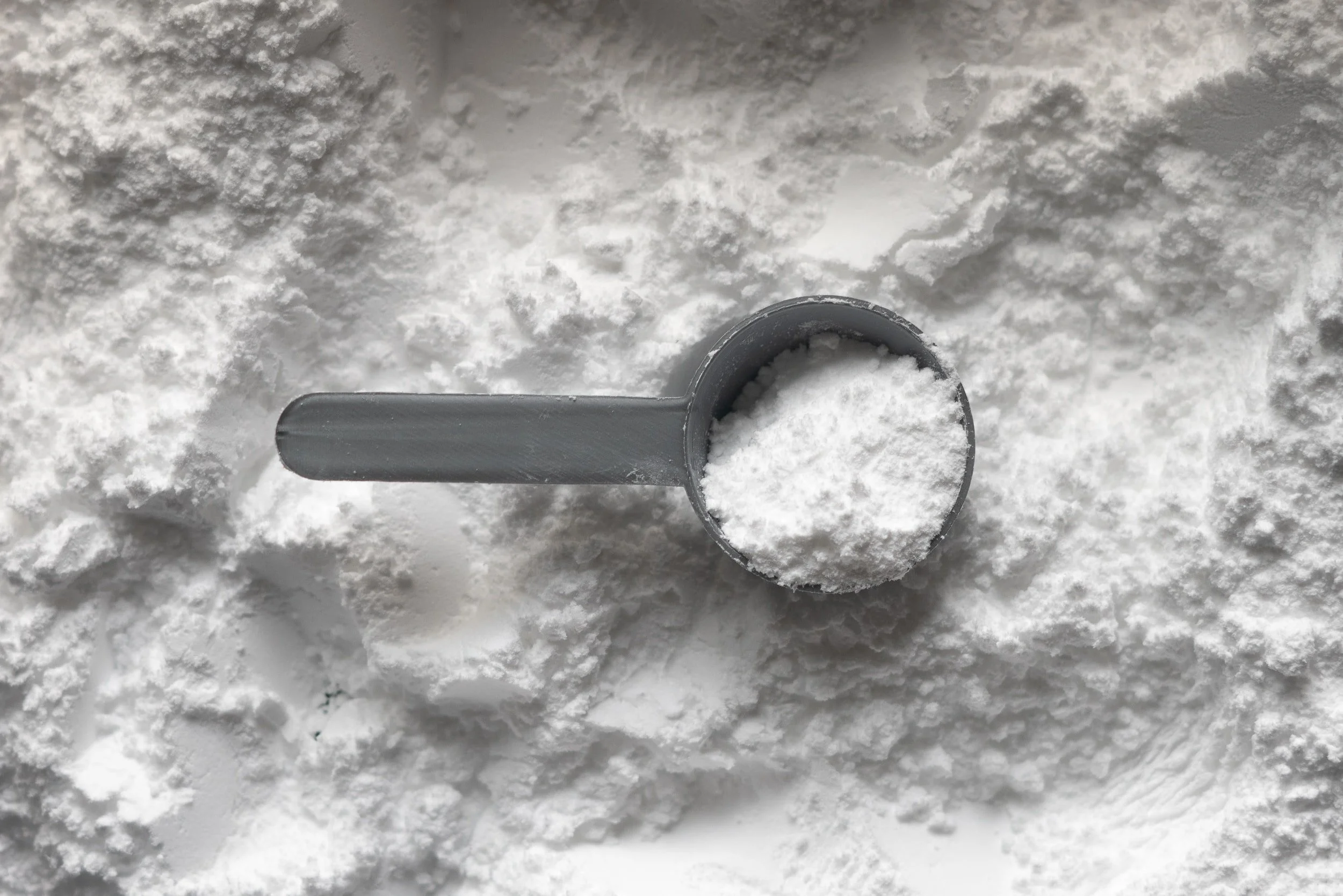 Protein 101: Plant vs. Whey