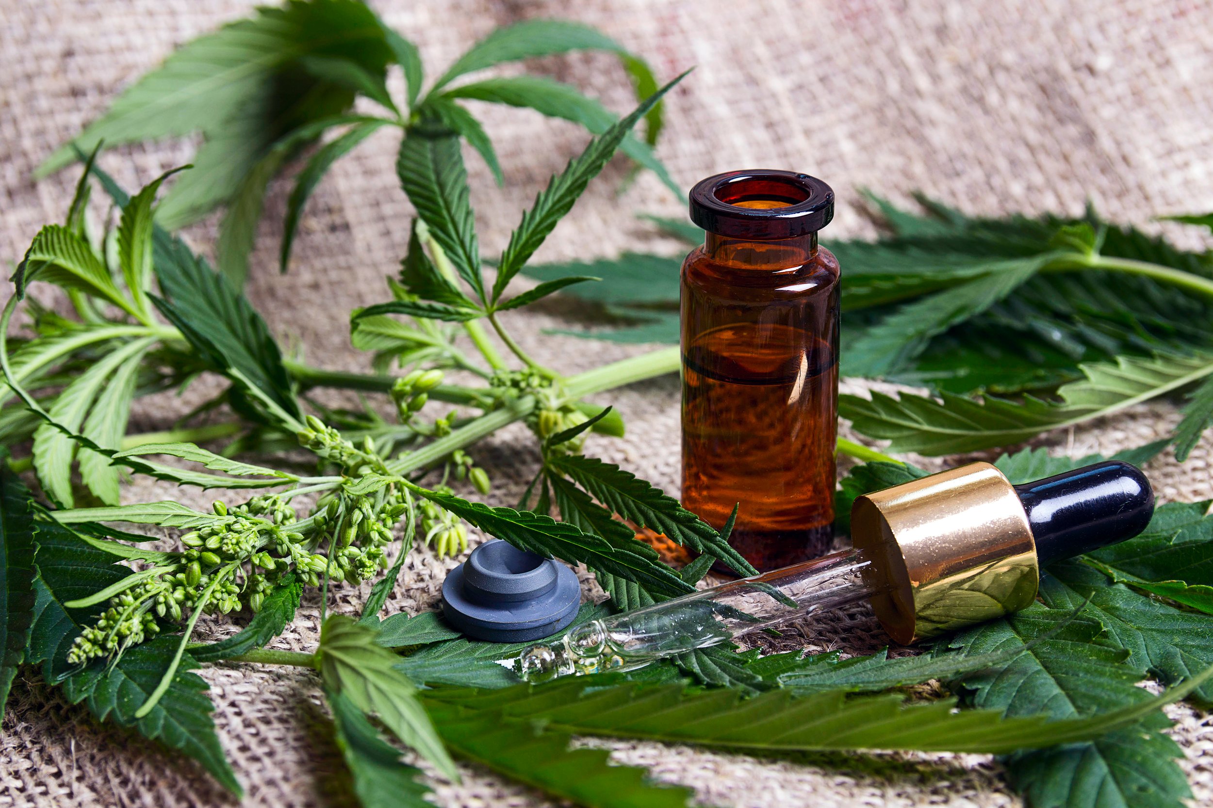 CBD Oil: The Many Benefits and How to Take It