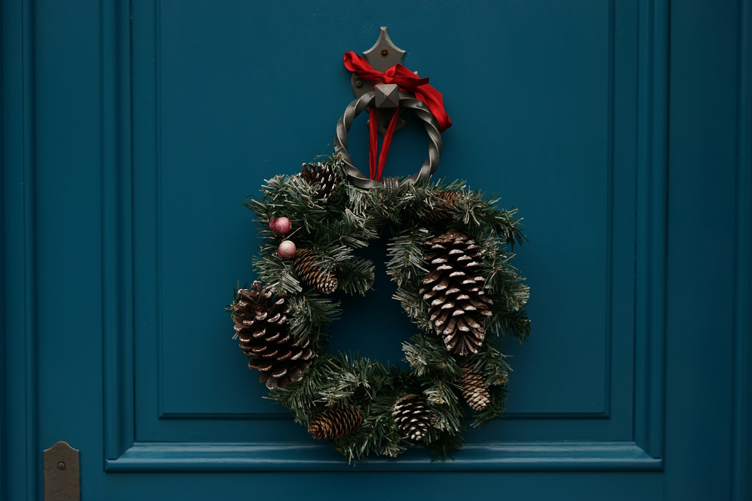 Holiday Survival Tips
