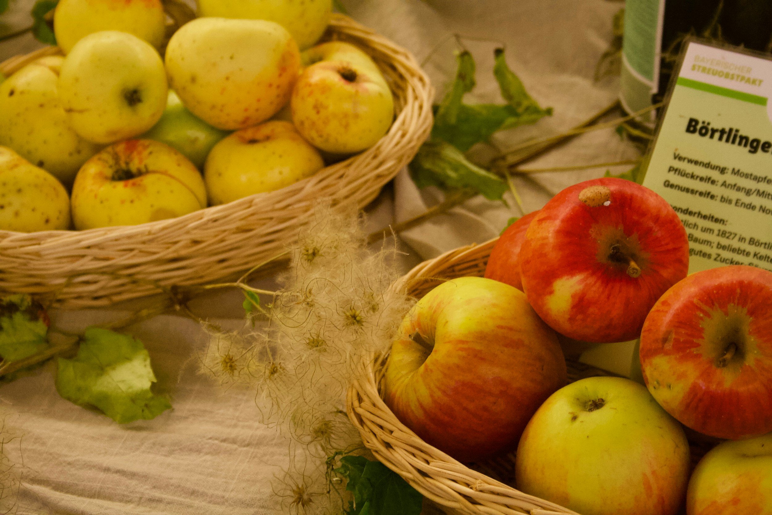 A Fall Wellness Reset You Can Follow with Ease