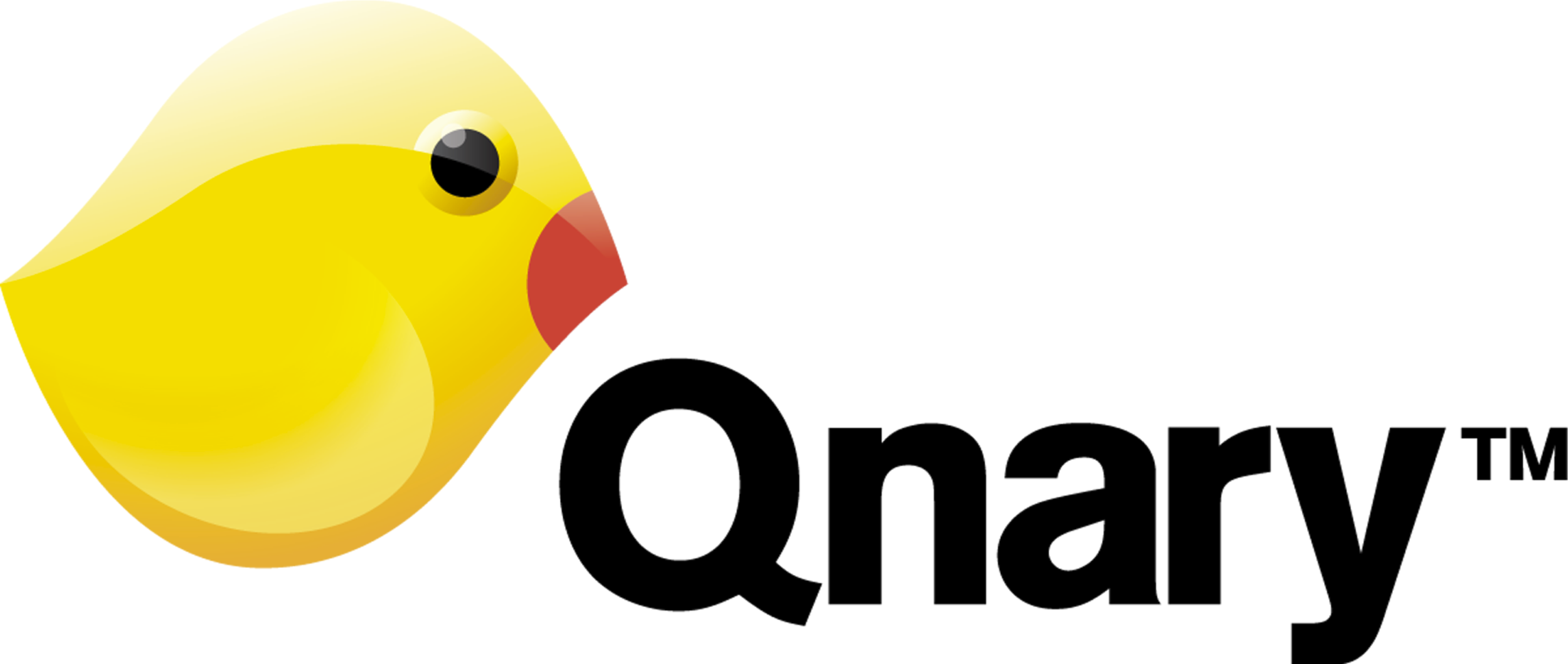 Qnary_Logo.06.01.14.png