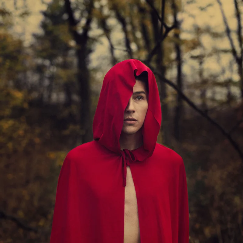 Amidst The Whispering Forest