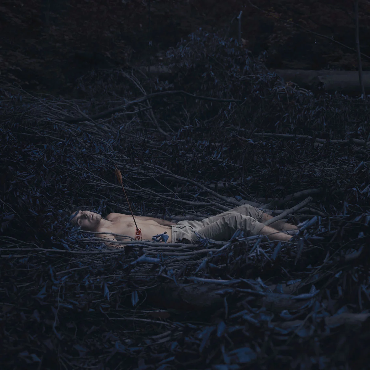 midnight_forest_feeding.jpg