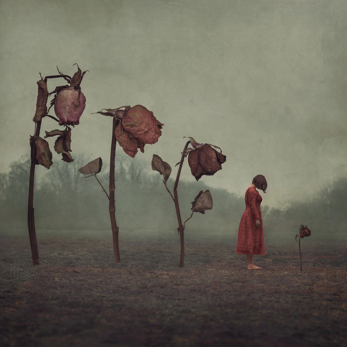 Inescapable Cycle