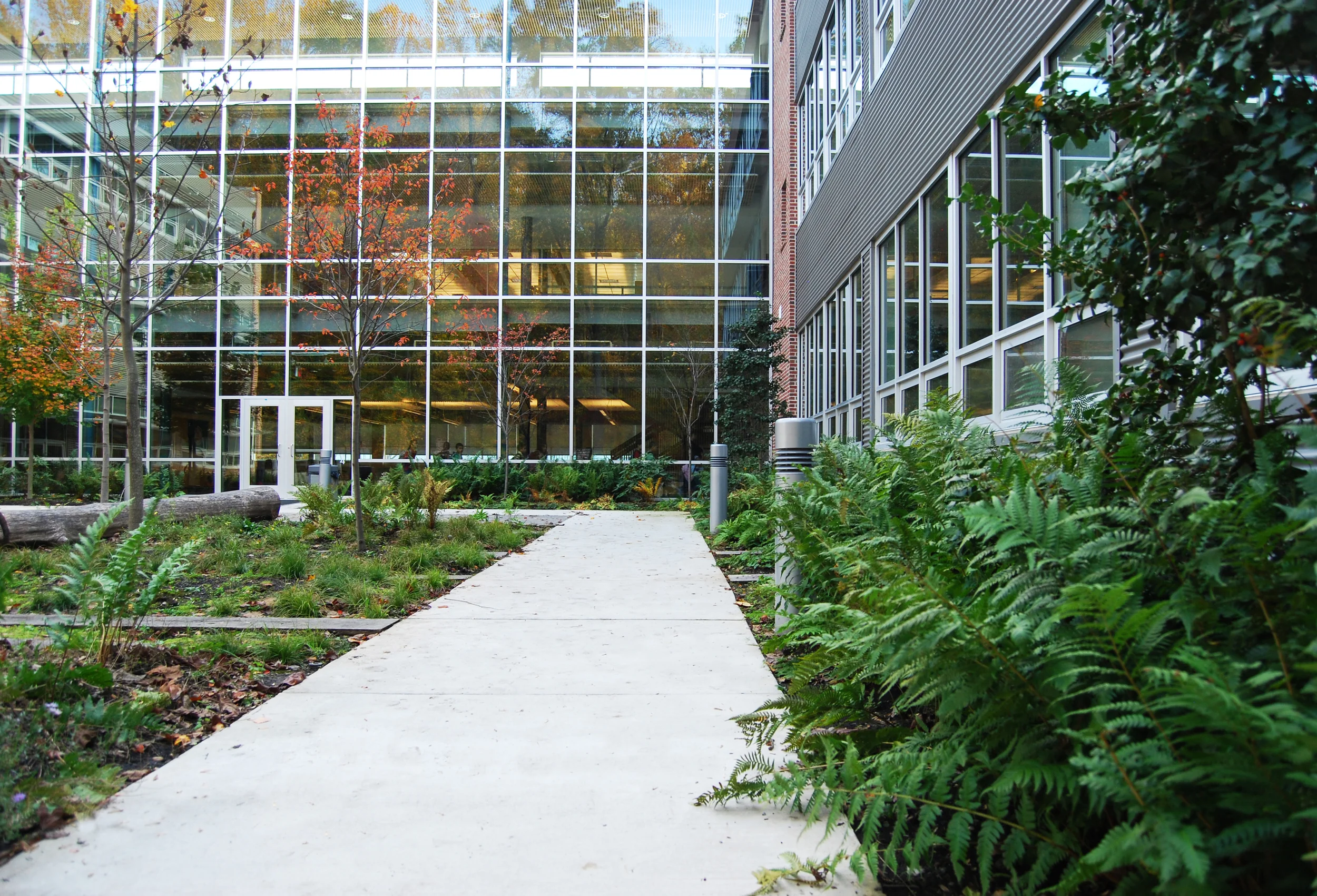 MPES_SW_courtyard1.JPG