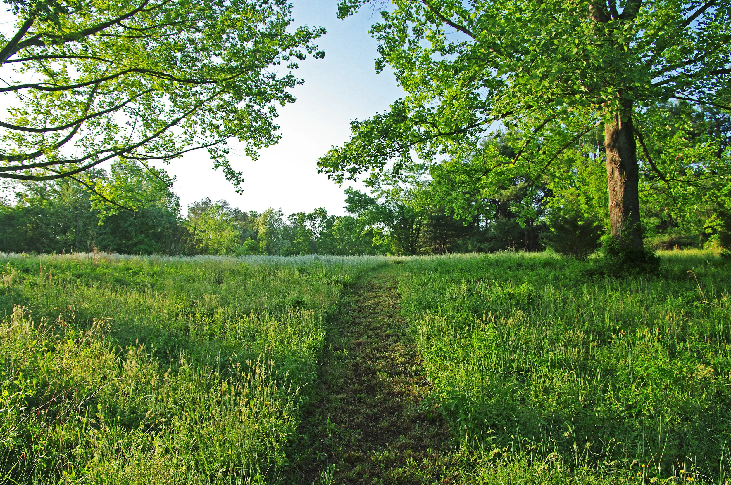 IMGP9777.JPG